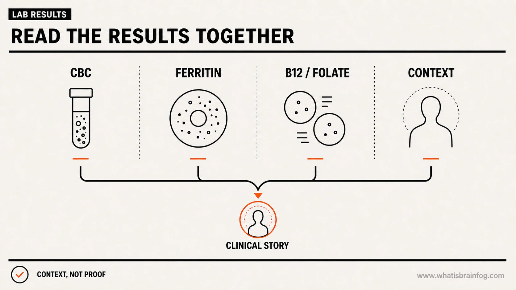 Anemia lab-results guide showing CBC, ferritin, B12 or folate and clinical context being read together.