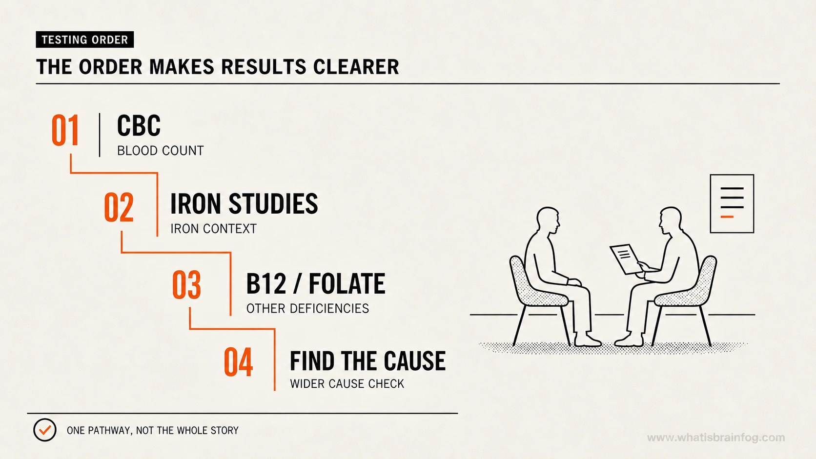 Testing route from a CBC to iron studies, B12 or folate and investigation of blood loss or poor absorption.