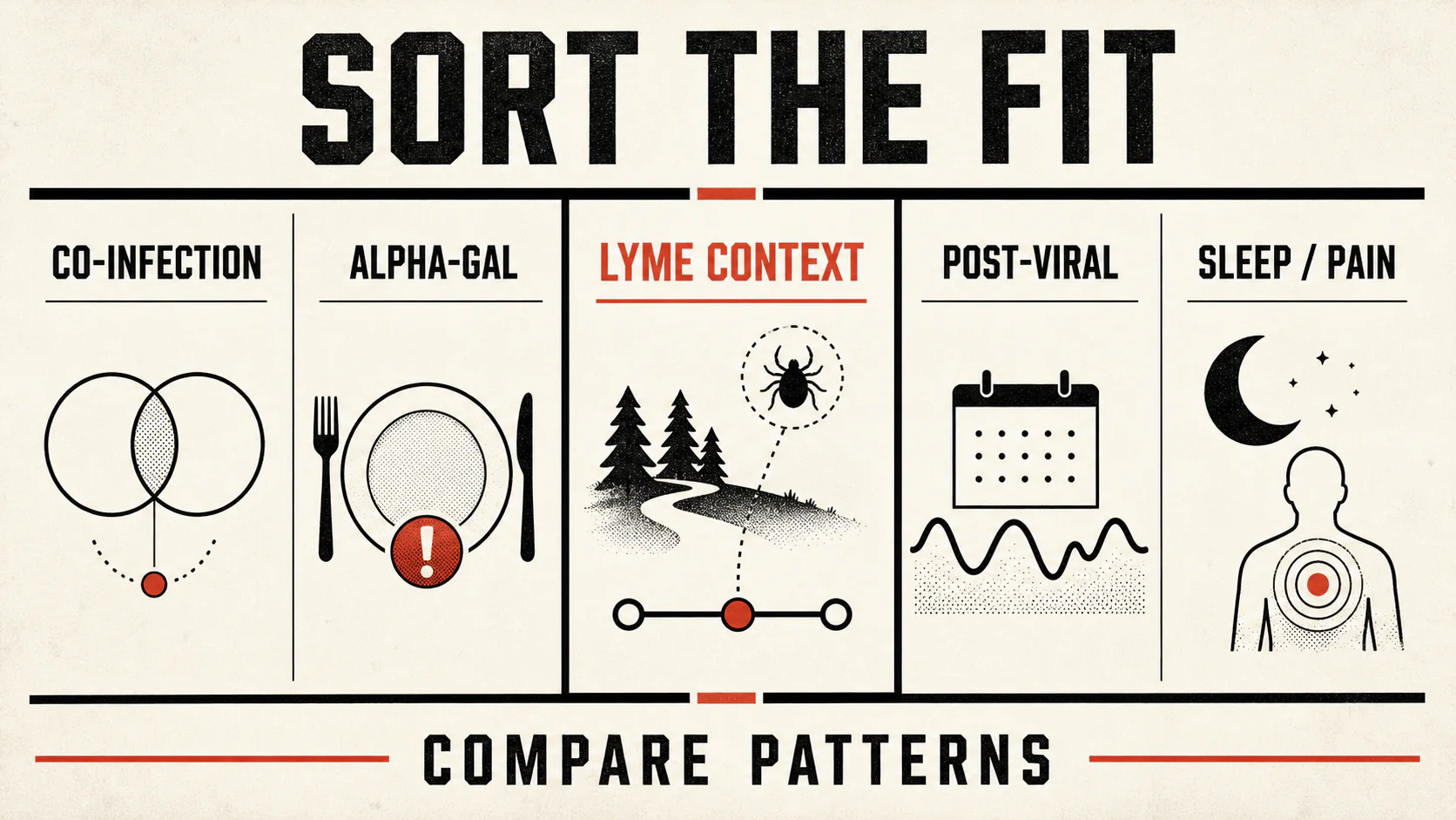 Lyme comparison map placing Lyme context among co-infection, alpha-gal, post-viral, and sleep or pain causes.