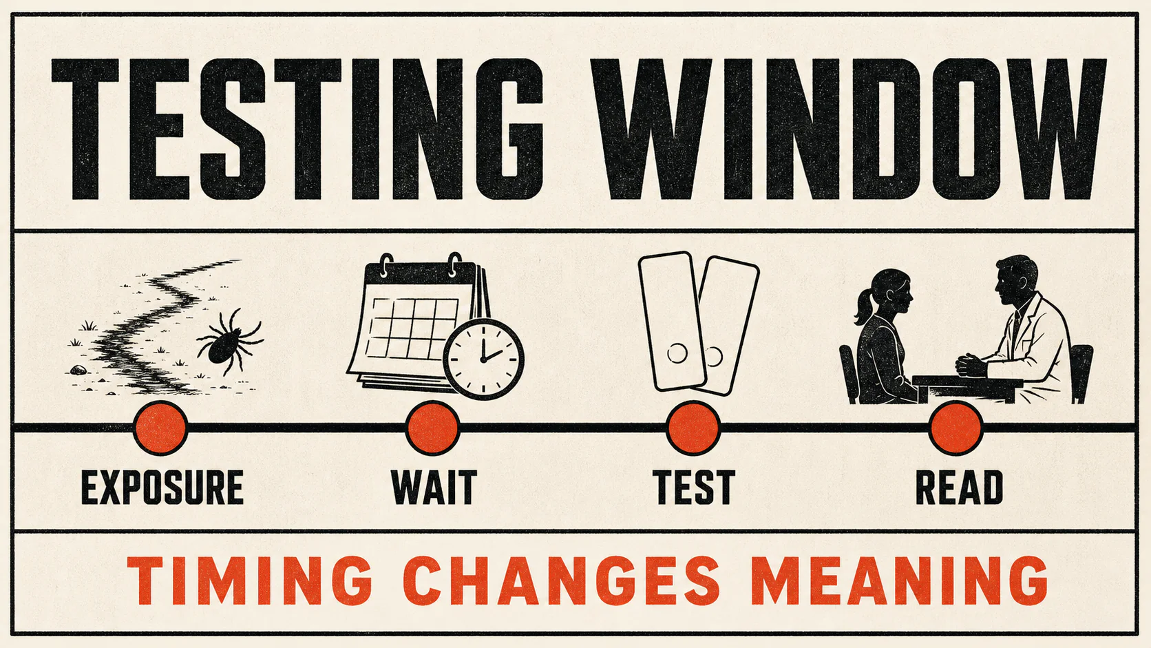 Lyme testing window shown as exposure, wait, test, and clinician read, emphasizing that timing changes meaning.