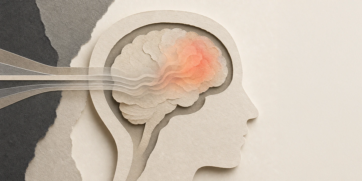 Paper collage illustration for the Neuroinflammation brain fog guide