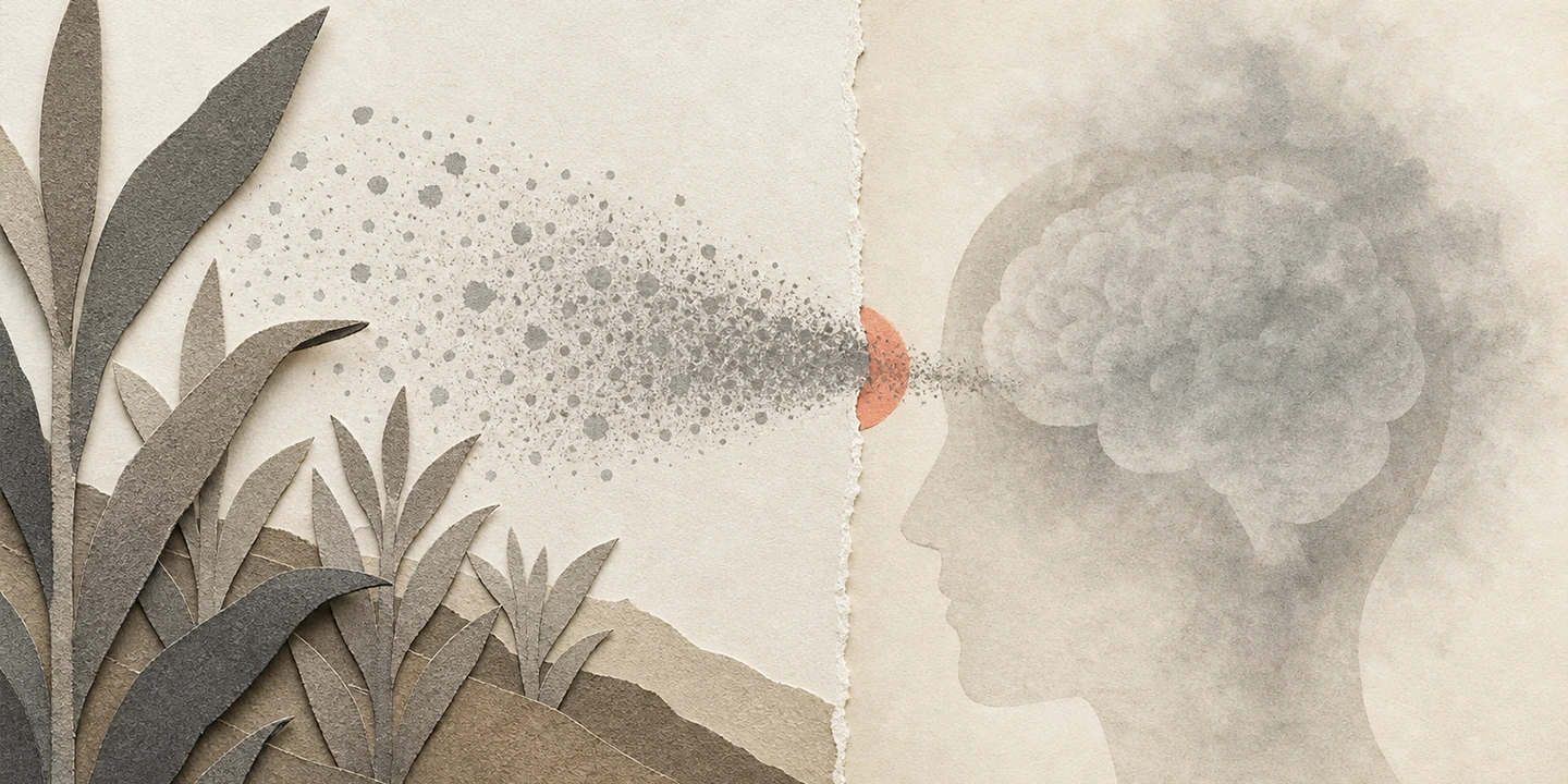Paper collage illustration for the Pesticides brain fog guide