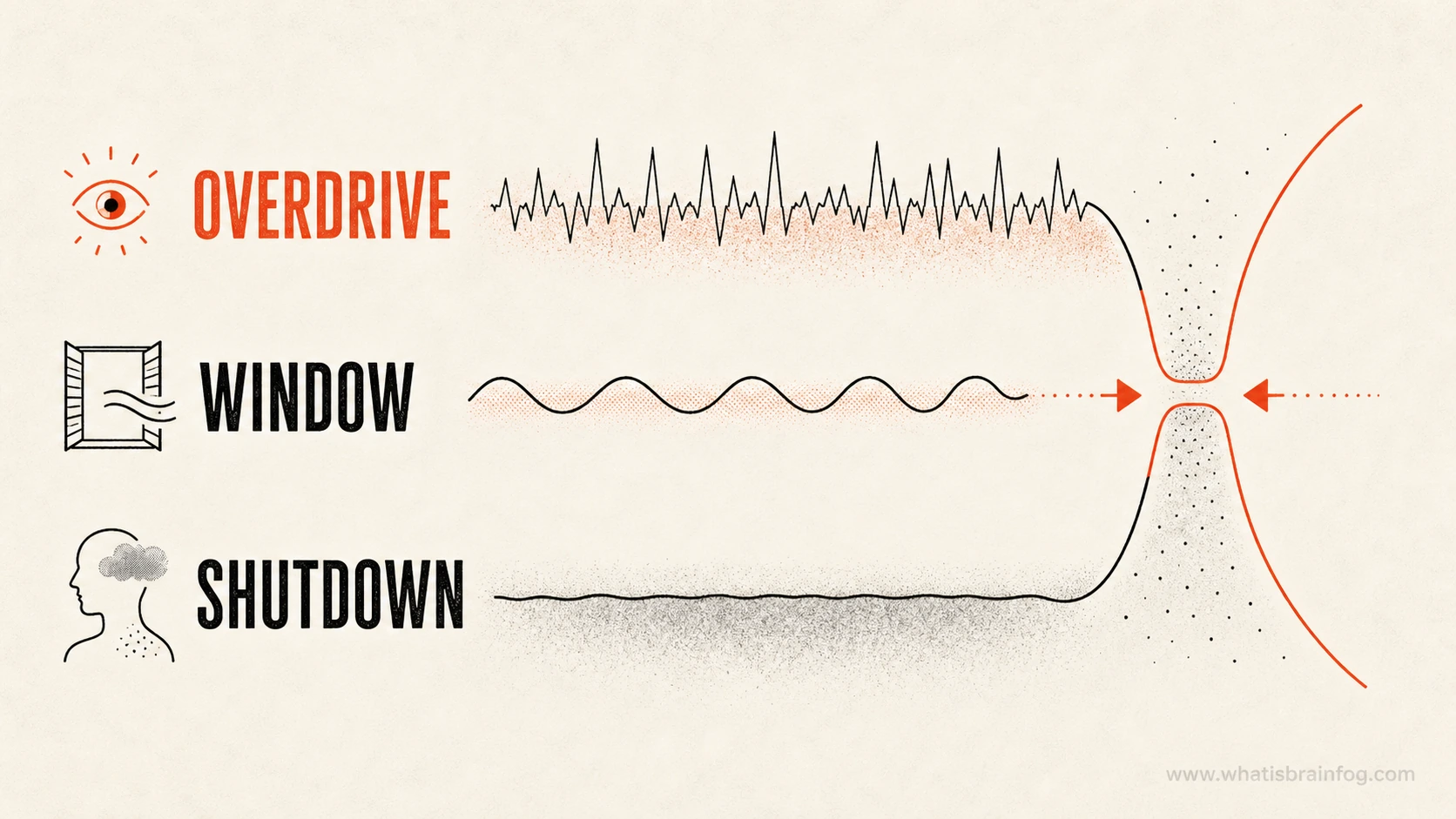 Illustrated strip showing overdrive, window, and shutdown as possible trauma-related nervous-system states.